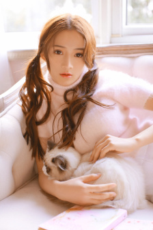葵花进城电视剧
